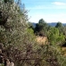 Atzeneta Del Maestrat property: Atzeneta Del Maestrat, Spain Land 28643