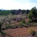 Atzeneta Del Maestrat property: bedroom Land in Castellon 28643
