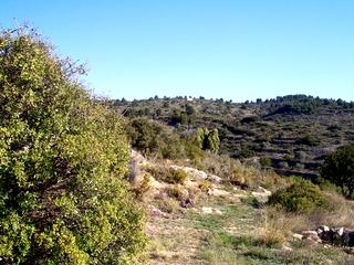 Atzeneta Del Maestrat property: Land for sale in Atzeneta Del Maestrat 28646