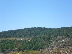Fuente Higuera property: Fuente Higuera, Spain | House for sale 28676