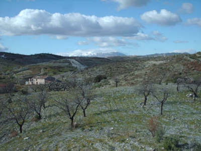 Puerto Lumbreras property: Land for sale in Puerto Lumbreras 29001