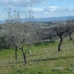 Puerto Lumbreras property: Land in Murcia 29001