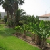 Nerja property: Nerja, Spain Villa 31595