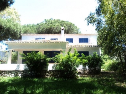Las Chapas De Marbella property: Villa to rent in Las Chapas De Marbella 31924