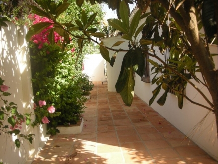 San Pedro de Alcantara property: Villa to rent in San Pedro de Alcantara, Malaga 31962