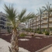 Dehesa De Campoamor property: Alicante, Spain Apartment 32948