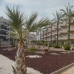 Dehesa De Campoamor property: Alicante, Spain Apartment 32948