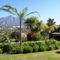 Nueva Andalucia property: Villa for sale in Nueva Andalucia 33526
