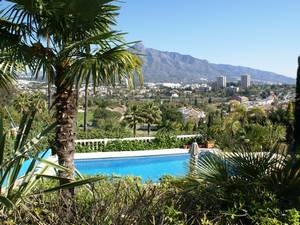 Nueva Andalucia property: Villa with 6 bedroom in Nueva Andalucia, Spain 33526