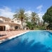 Nueva Andalucia property: Nueva Andalucia, Spain Villa 33567