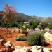 Lliber property: Lliber, Spain Villa 35669