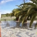 Fuentes De Andalucia property: Villa in Seville 36005