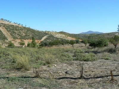 Zarzalico property: Land for sale in Zarzalico, Spain 36027