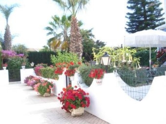 Villamartin property: Apartment in Alicante for sale 4129