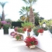 Villamartin property: Apartment in Villamartin 4129