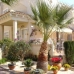 Playa Flamenca property: 2 bedroom Apartment in Alicante 4170
