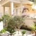 Playa Flamenca property: Apartment in Alicante 4170