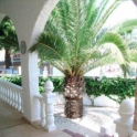 Villamartin property: Villa for sale in Villamartin 4189