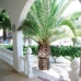Villamartin property: Villa for sale in Villamartin 4189