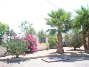 Elche property: Finca with 7 bedroom in Elche 4206