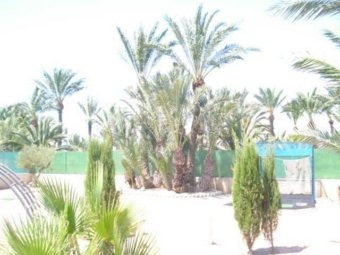 Elche property: Elche, Spain | Finca for sale 4206