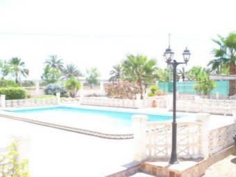 Elche property: Elche Finca 4206