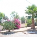 Elche property: 7 bedroom Finca in Elche, Spain 4206