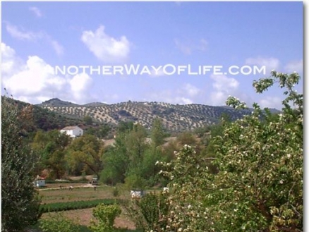 Algarinejo property: House with 4 bedroom in Algarinejo 37976