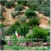 Montefrio property: Montefrio House, Spain 37978