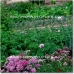 Montefrio property: Granada House, Spain 37978