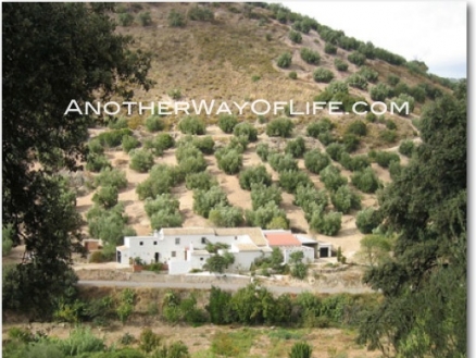 Iznajar property: House with 9+ bedroom in Iznajar 37987