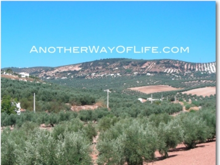 Iznajar property: House in Cordoba for sale 37997