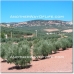 Iznajar property: House in Iznajar 37997