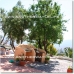 Orgiva property: 2 bedroom House in Granada 38011