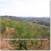 Cadiar property: House in Granada 38015