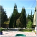 Orgiva property: House in Orgiva 38018