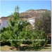 Orgiva property: 4 bedroom House in Granada 38025