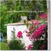 Orgiva property: 3 bedroom House in Orgiva, Spain 38027