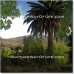 Orgiva property: House in Granada 38047