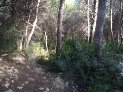 Moraira property: Land with bedroom in Moraira, Spain 39839