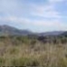 Alcalali&nbsp;property:&nbsp;Alcalali,&nbsp;Spain&nbsp;Land&nbsp;39957