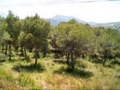 Javea property: Land for sale in Javea, Spain 39964