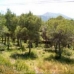 Javea property: Javea, Spain Land 39964