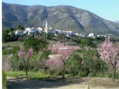 Parcent property: Villa for sale in Parcent, Spain 40035