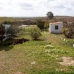 Fuentes De Andalucia property: Villa in Fuentes De Andalucia 41584