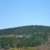 Fuente Higuera property: Fuente Higuera House, Spain 41587