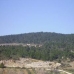 Fuente Higuera property: Albacete House, Spain 41590