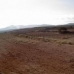 Pinoso property: Land for sale in Pinoso 41655
