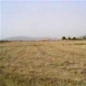 Pinoso property: Land for sale in Pinoso 41661