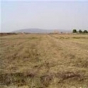 Pinoso property: Land for sale in Pinoso 41662